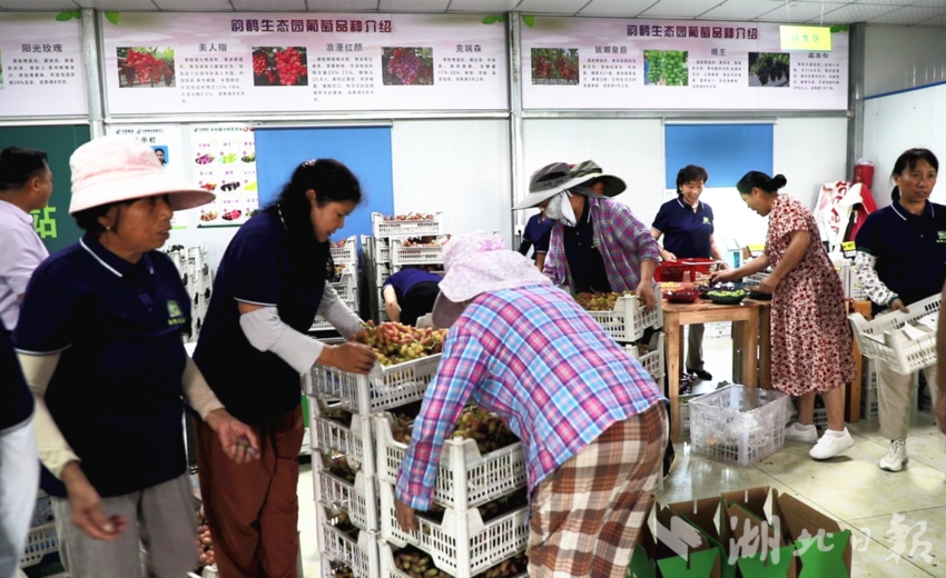 百老汇官网首页